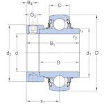 skf_yel205_100_2f_2