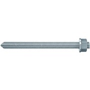 fischer_50262