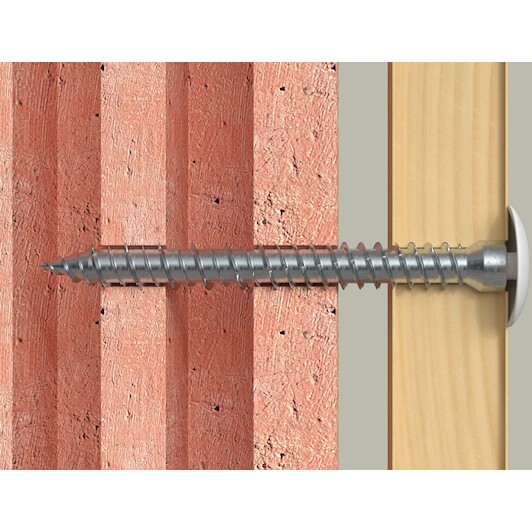 fischer_532908_7