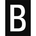 brady_911095