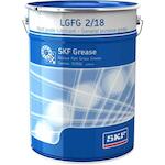 skf_lgfg218