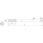 phantom_261011200_2
