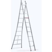 altrex_153208
