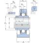skf_ucpa208h_2