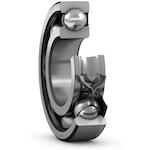 skf_6013_rs1