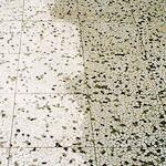 hg_183100103_5