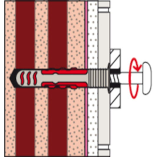 fischer_557728_21