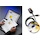 Catégorie Fluke logiciel