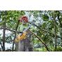 dewalt_dcmcs575x1_qw_3