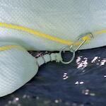 spc_813769_3