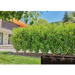 gardena_13501_20
