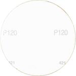 pferd_42871212_2