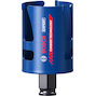 bosch_2608900463