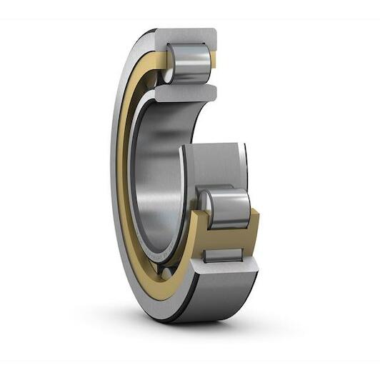 skf_nu244ecmlc3