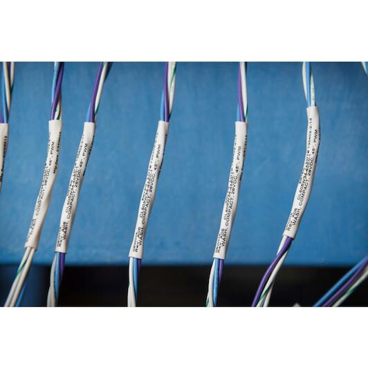 brady_032510_6