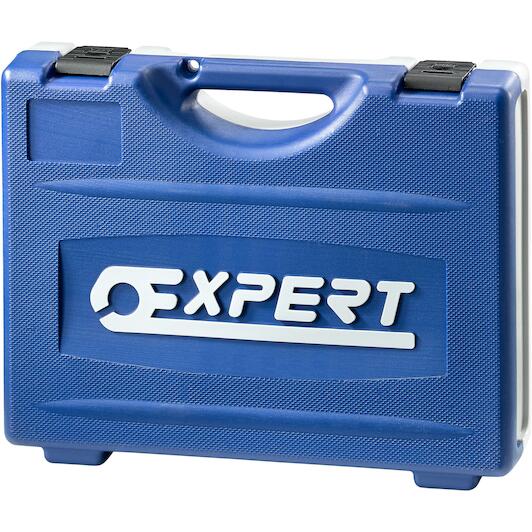 expert_e032937