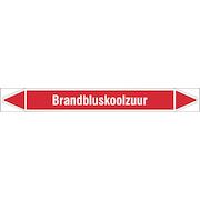 brady_n003993
