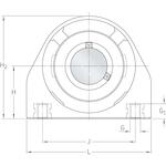 skf_p2btc30m_tpss_3