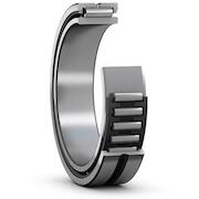 skf_na4901