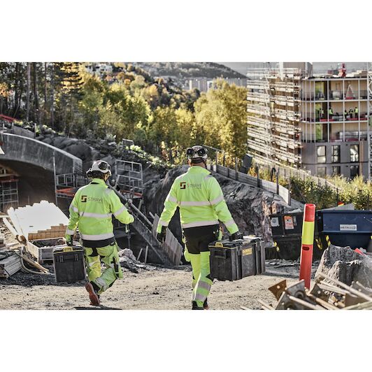 dewalt_dwst83342_1_6