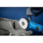 pferd_64281880_3