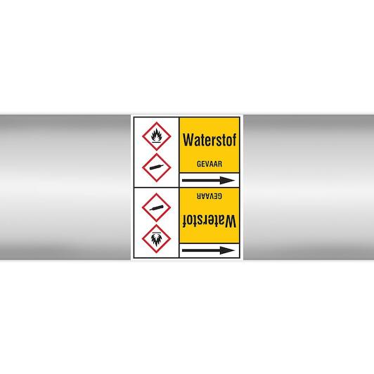 brady_n004516