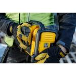dewalt_dcr020_qw
