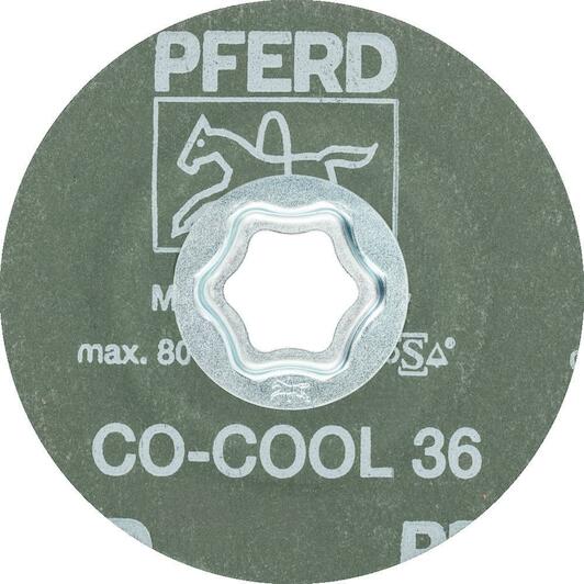 pferd_64189101_2