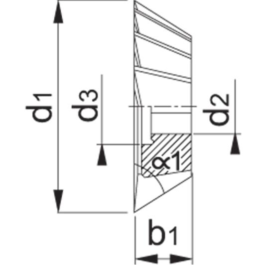 phantom_384004504_2