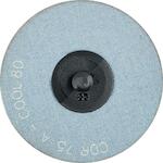 pferd_42772708_2