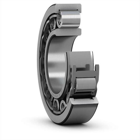 skf_nu1006