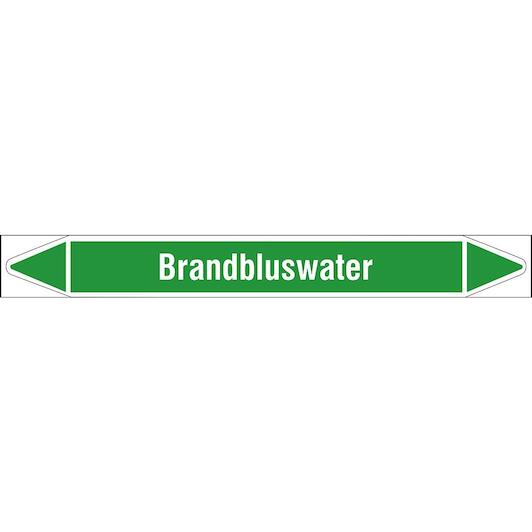 brady_n005801