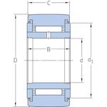 skf_natr5pp_2