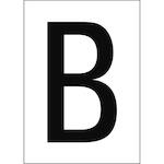 brady_911329