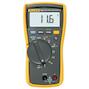 fluke_4296029_2