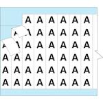 brady_111510_2