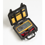 fluke_3352571