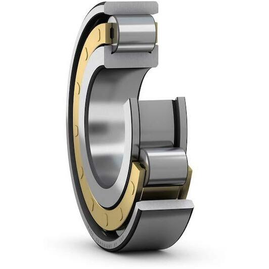 skf_n224ecm