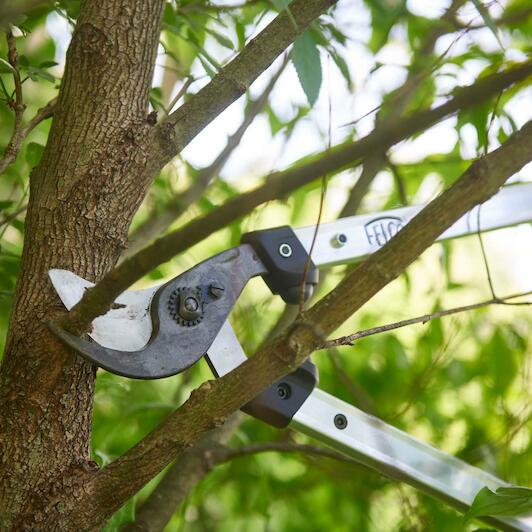 felco_f211_60_2