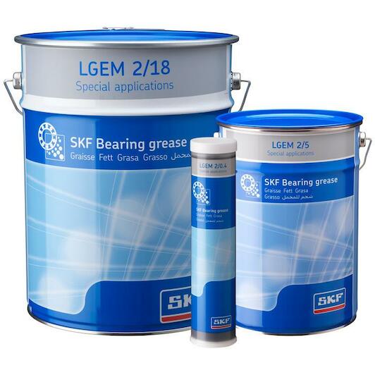 skf_lgem218_2