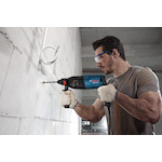 bosch_0611272102_5
