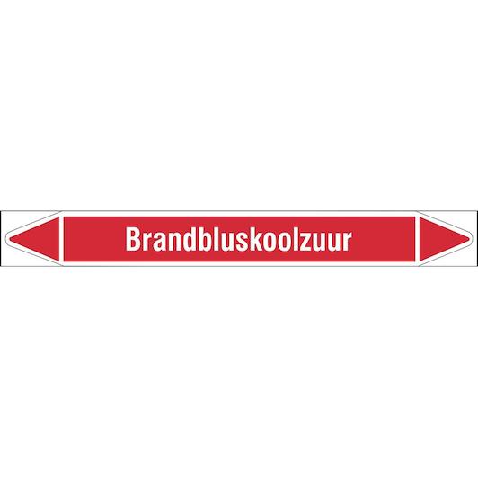 brady_n003993