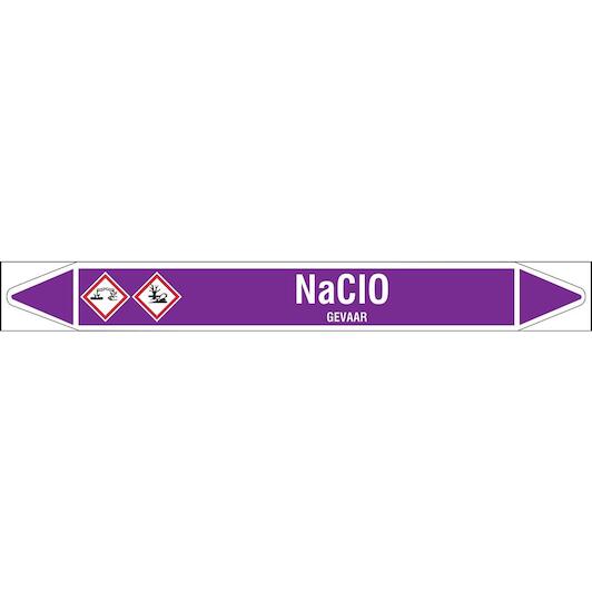 brady_n003895