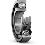 skf_6006_rs1
