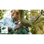 bosch_06008b8303