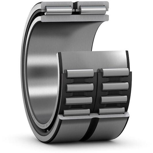 skf_na6909