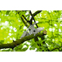 bosch_06008d8002_5