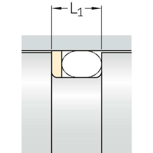 skf_str55x60x13_y95a_4