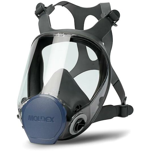 moldex_900101_2