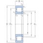 skf_nup2311ecp_2